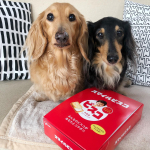 ⁂#glicoswipe >>>>*かわいいの作ってもらったよ♪プレゼントしても喜ばれたよ☺︎*袋を開ける時、食べ終えた後&hellip;どうしたらいいのさーーっ😂**&hellip;のInstagram画像