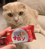 【モニプラ】スマイルビスコで、マロン🐈のビスコ作りました😊✨ネットで簡単に作れます♪私は5分くらいだったかな？かわいい〜🤤💓プレゼントに最適♪#江崎グリコ #グリコダイ&hellip;のInstagram画像