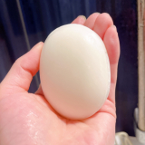 「ファムファムアワアワ」の画像（1枚目）