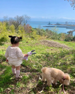 ..お外にいくときもうさぎさんを持っていくそらちゃん🐰🎀あったかい日に桜見れてよかった🌸#PR #トイザらス #トイザらス #FriendsForLife #フレンズフォーライフ #お&hellip;のInstagram画像