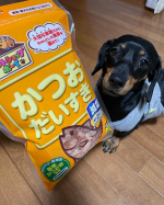 【220420】鰹節で有名なマルトモさんから#減塩かつおだいすき が 新発売されました❣️食う、寝る、遊ぶが 得意な のInstagram画像