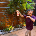 テレビショッピングで大好評✨⁡爽やかな香りとオシャレなパッケージの⁡住化エンバイロメンタル　　　　　　　　サイエンスの【SHE&YOU 殺虫ミスト】🦟⁡人や環境にや&hellip;のInstagram画像