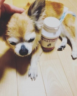 ワガママ娘の大好物になってしまった&hellip;。ずっと離れない&hellip;。#スクスクのっぽくん #カルシウム #身長 #ビタミンD #成長応援 #乳酸菌 #モンドセレクション #monipla #sukus&hellip;のInstagram画像