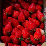 ✣やっぱり産直の果物や野菜は美味しい🥰写真は今年、2回頼んだ(リピした)苺🍓久しぶりに酸っぱさも甘さもある苺をたくさん食べれた〜✨私は小粒のが好きなんだけど、母は大きい粒のが好き😆&hellip;のInstagram画像