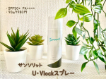 サンソリットU･Vlockスプレー  SPF50+  PA++++90g  1980円スプレータイプの日焼け止め😊私は家を出る前は乳液タイプの日焼け止めを使用し、時間が経って再度日&hellip;のInstagram画像