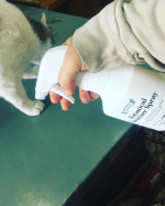 新型コロナ禍になって抗菌する機会が増えた！ウチも猫がいるからどこでも乗っかるし、多少マメにしないといなけんだけど気にしすぎもね？匂いがキツイと猫が拒否反応示すからそこいらも重要かも？#&hellip;のInstagram画像
