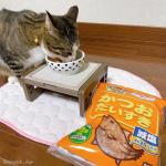 ..我が家のネコちゃん、かつおぶしが大好き🐱💕人間も大好きなマルトモさんから、ネコちゃん、ワンちゃん専用の花かつお「かつおだいすき」が発売されているので食べさせてみました❤︎普段&hellip;のInstagram画像