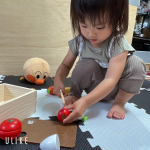 ᐠ &hearts;︎ ᐟᐠ &hearts;︎ ᐟᐠ &hearts;︎ ᐟᐠ &hearts;︎ ᐟᐠ &hearts;︎ ᐟᐠ &hearts;︎ ᐟᐠ &hearts;︎ ᐟᐠ &hearts;︎ ᐟᐠ &hearts;︎ ᐟいつの間にか知雨ももう1歳9ヶ月になりました！▶️不知不覺之間知雨也已經一歲9個月了&hellip;のInstagram画像