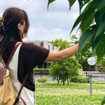 モニター当選✳︎モニプラ様経由でu0040nissen_ladies_official 様の「【UV・遮熱】洗える半袖ボートネックドルマンニット」商品番号: BOY0720C0001カラー:&hellip;のInstagram画像