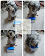 *2022.06.06⁡⁡*⁡⁡* ⁡⁡*⁡⁡おはようございます⁡⁡今日は1日雨だな⁡⋆̩☂︎*̣̩⁡習い事2つ掛け持ち曜日&hellip;⁡⁡頑張ろう(ง &bull;̀_&bull;́)ง⁡⁡*⁡&hellip;のInstagram画像