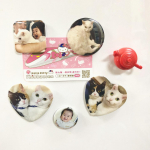 ・みんなのバッジで作ったマグネット🌟冷蔵庫に貼って実用的に使えるのがいいね！下3つは以前作ったもの💡おままごとにも使われてるから行方不明多数😇・丸型44mm、角形37mmで&hellip;のInstagram画像