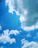 お空が綺麗な日にぶらっとお出かけ。実は、胸が大きいことがコンプレックスな私。夏は蒸れるし、なんだかんだ垂れるのは嫌だし、文句が多いところだけれど今日はnewブラで心機一転！風駆けるブラ&hellip;のInstagram画像