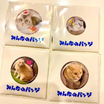 【モニプラ】コスモメディアサービス様の、みんなのバッジでうちの猫ズのマグネット作りました🐈所要時間は5分くらい。。5分もかかったかな？レベル。笑しかも注文完了から発送までめっちゃ早くて&hellip;のInstagram画像