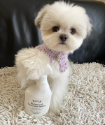 住化エンバイロメンタルサイエンス株式会社 様の「SHE&YOU ボタニカルサニタイザースプレー」有効成分が天然物由来100%のボタニカルな抗ウイルス・抗菌スプレーをお試しさせていただきました🍀&hellip;のInstagram画像