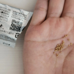 モニプラ様の企画にて、玄米酵素モニターさせていただきました☺️個人的に味が好きだったので、そのままもぐもぐ食べさせてもらいました笑粒も小さくて摂取しやすいです！！！#玄米酵素 #ハイゲンキ&hellip;のInstagram画像