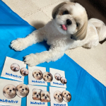 今日のしずくです🐶💛昨日注文して今日届いた⁡みんなのバッジさんの⁡マグネットと缶バッジが⁡届きました🐶💛今回も凄く可愛く作ってもらいました🥰⁡お姉ちゃんにもプレゼント用で⁡&hellip;のInstagram画像