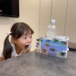 夏休みの自由研究にまだ間に合う❣️⁡遊びながら学べるトイザらス限定✨『STEAMトイシリーズ』✨⁡次女が選んだのは凍らせたぺットボトルで、ホンモノみたいに冷たい風が出る🎐⁡ダンボ&hellip;のInstagram画像