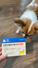 ❤︎きよみちゃん @kiyomi.yan のおなかの調子をずっと心配してまして今回ご縁があり、ペットブランドLiving with Pets さんのLiving with Pets&hellip;のInstagram画像