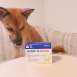 ペットブランド「Living with Pets」から「Living with Pets 犬用 健康維持サプリメント ドッグエイド KM-10【+腸サポート】」をモニターさせていただきました🐕&hellip;のInstagram画像