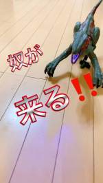 もう映画館でジュラシックパーク🦖観た❓⁡わが家はまだ見れてないから早く観にいきたいー❣️⁡中学生になっても息子は恐竜とか大好きで🦖⁡これ、ジュラシックパークに出てきた恐竜で&hellip;のInstagram画像