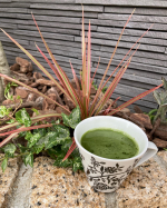 🌿 カラダ喜ぶ乳酸菌入り飲む野菜 🌿 夏バテで何も食べれない。でも、何か口に入れて栄養補給をしなせれば‼️水に溶かして冷やし抹茶みたいに飲みました。  夏バテで、夏野菜も食べれない&hellip;のInstagram画像