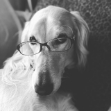 ボクとデカルトについて語り合いませんか？