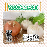 スマイルボールて知ってる？水さらしナシ！辛みナシ！ハウス食品グループが１０年以上研究を重ねて開発した、ほんのり甘い味わいを楽しめる驚きのタマネギ「スマイルボール」白い玉ねぎ【北海道の新&hellip;のInstagram画像