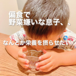 3歳の息子👦かなりの偏食で白ごはんと揚げ物が大好き🍚保育園でも、「ご飯と味噌汁のお汁しか飲みませんでした」と言われることもしばしば😰カレーも野菜だけ避けたりするので野菜を全く摂&hellip;のInstagram画像