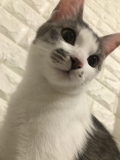 おぉっ？
