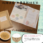 ⁡⁡⁡⁡⁡モチモチで冷めても美味しい⁡⁡北海道産・無農薬栽培玄米⁡⁡【ハイ・ゲンキの故郷 300ｇ(2合分)】⁡⁡モニターさせていただきました！⁡⁡・⁡⁡・⁡⁡炊きあがりの写真が保存さ&hellip;のInstagram画像