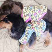 「寄り添って今からお昼寝でーす♡」【Instagram/犬猫飼い主さま限定】ねこちゃん・わんちゃんのかわいいお顔、みーせて♡カタログ掲載のチャンス！の投稿画像