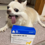 ハピネスダイレクト犬用健康維持サプリメント今年で12歳になる愛犬🐶ヘルニアになって、足が不自由になってから5年くらいになります。最近は、暑さとか寒さなどで急に元気がなくなってしまう時も&hellip;のInstagram画像