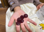 ⁡⁡⁡幼児期の食べるチカラを育てる！こども食育グミ⁡⁡ブドウ味なので息子は毎日パクパク食べて、なくなりかけ🍇⁡グミが好きなのですごくありがたい商品でした！⁡硬さ、大きさ、味どれも&hellip;のInstagram画像