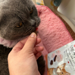 HMBケアサプリをウチの🐈モコにあげてみました。袋を開ける時からクンクンしに来て、すぐに食べてくれました。最初の1つを食べるともっとちょうだいとおねだりしてきたので、ウチのモコは気に入ったよう&hellip;のInstagram画像