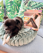 最近、ルームウェアとして愛用し始めたスリムウォーク✨秋になったから肌寒くて長袖ショーパンで過ごすことが多いから、スリムウォークを履いて着圧しながら暖かに💓浮腫ケアがしっ&hellip;のInstagram画像