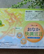 おなか快調宣言ゼリーで、持ち運びしやすいスティックタイプ。コンパクトだし、手軽に食べられる印象です。1本あたり18.5kcalだそう。一日の摂取目安は3本です。透明でみずみずしさを&hellip;のInstagram画像