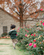 秋バラ🌹晴れの日はあったかいけど日陰に入ると寒すぎる💦しかし夏より冬の方が好きなのでやっと過ごしやすくなったよ😭この日のズボンはu0040nissen_kids_official最近&hellip;のInstagram画像