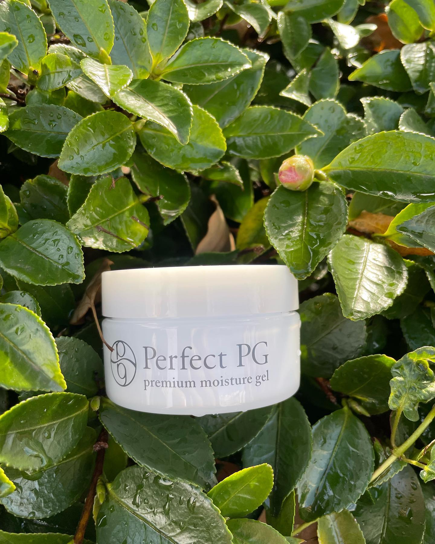 口コミ投稿：今日は親子コンサート朝からバタバタお風呂入ってる時ドア開けてます寒い寒い泣いた…