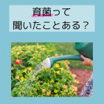 🌿✨腸内環境を整えると身体にいいことがたくさんのは知ってるけど、てっとり早くどうするの～って思いますよね。快便！とは言い切れないなめこなんですが、こちら【ハイゲンキ&hellip;のInstagram画像