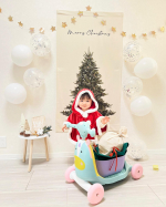 𝐒𝐚𝐧𝐭𝐚 𝐂𝐥𝐚𝐮𝐬🎅あわてんぼうのサンタクロース🎶クリスマス前に やってきた！⁡っということでピナちゃんサンタクロースになってもらいました🙌⁡普通はトナカイ＆ソリでプレ&hellip;のInstagram画像