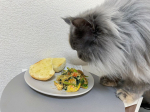 猫も気になる朝ごはんには玄米酵素サプリをのせています👼腸の動きをサポートしてビフィズス菌を増やしてくれるみたい🤍そのままでも食べられるけど私はいつも食事のアクセントにして毎日食べるよう&hellip;のInstagram画像