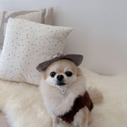 「muu style」【Instagram/犬猫飼い主さま限定】ねこちゃん・わんちゃんのかわいいお顔、みーせて♡販促物掲載のチャンス！の投稿画像