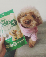 愛犬・愛猫用/健康サポート食品 MREフードプラスを愛犬りりーに💕毎日の食事にジュレ状の「MRE フードプラス」をかけるだけで、簡単にMRE成分を摂取することができるんです💕MREフードプラス&hellip;のInstagram画像