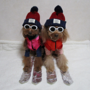 「私をスキーに連れてって♪」【Instagram/犬猫飼い主さま限定】ねこちゃん・わんちゃんのかわいいお顔、みーせて♡販促物掲載のチャンス！の投稿画像