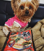 モニプラ当選品✨お水がいらない横浜家系ラーメン🍜初めて食べたけど、このまま火にかけるだけで簡単で美味しかった😋❤️ゆで卵だけ乗せたけど、具材も入ってて楽チン✨#キンレイ #キンレイのある&hellip;のInstagram画像