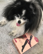 「スリムウォーク　美脚ハイソックス」着圧ソックスは立ち仕事だから愛用していましたが、スリムウォークはキツすぎないから快適でした土踏まずもしっかりサポートしてくれるから安心毎日はける着圧ソッ&hellip;のInstagram画像