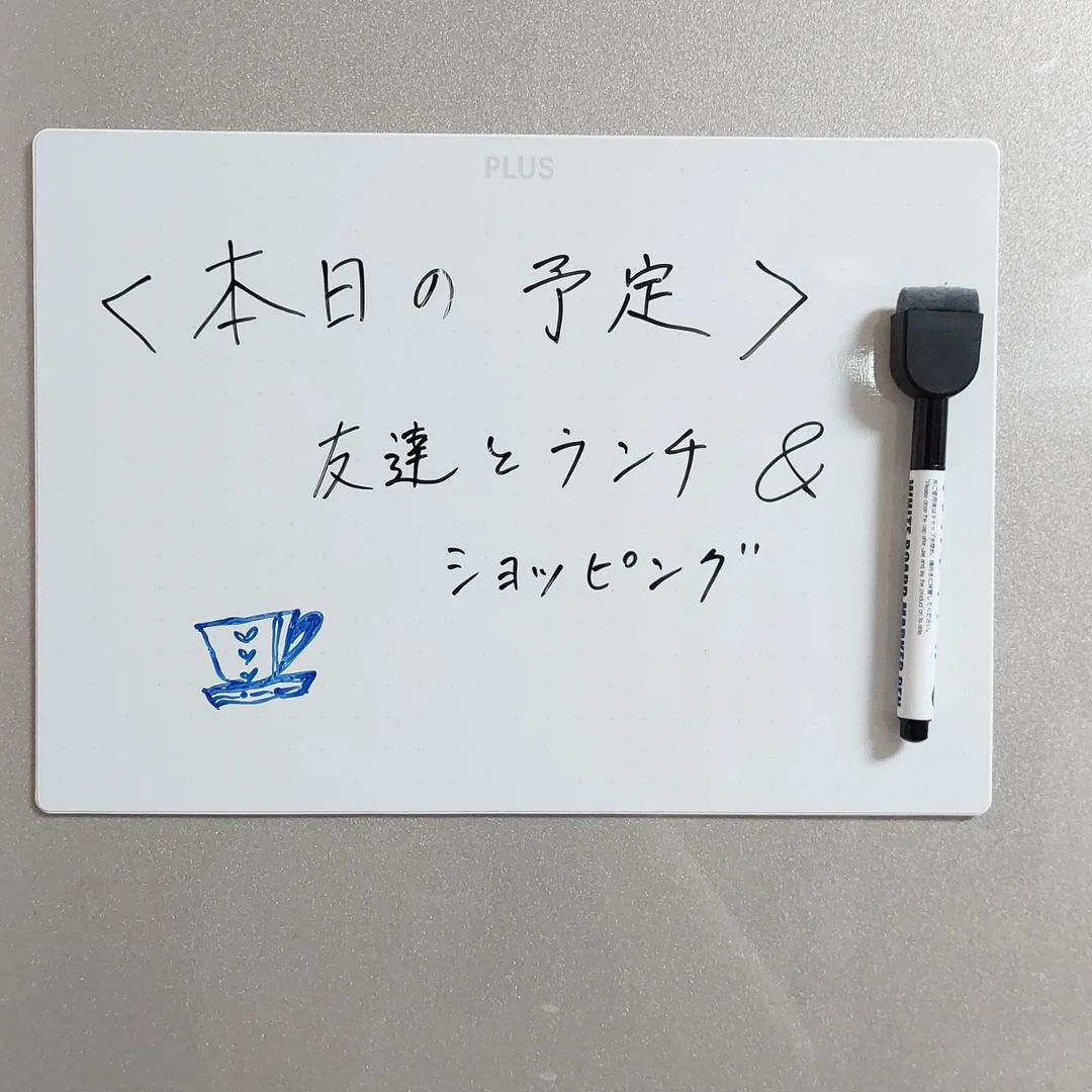 口コミ投稿：【　家庭用ホワイトボード「インテルナフロート」　】専用のマーカーでスラスラと書…