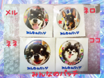 缶バッチ.マグネットが作れるアプリ【みんなのバッジ】ずっと気になっていました。今回、愛犬たちの缶バッチをつくりました。アプリで作成、注文ができて、注文した次の日に届いて、&hellip;のInstagram画像