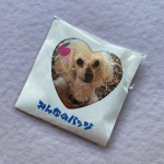 みんなのバッジ⁡すごく可愛くないですか？好きな写真をバッジに出来ちゃうんです！マグネットタイプやバッジタイプもあってすごく迷っちゃいます☺️&hearts;️⁡私は自分用にもオススメですが、プレゼントにも&hellip;のInstagram画像