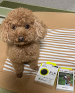 万が一ペットが逃げ出した際の保険に「紛失防止スマートタグ:DIGL」を使って見ました！iPhoneなので「探す」アプリで簡単に設定できました😆勿論Androidでも専用のアプリがあるので使うこと&hellip;のInstagram画像